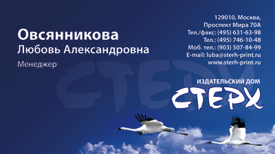 Визитка 4