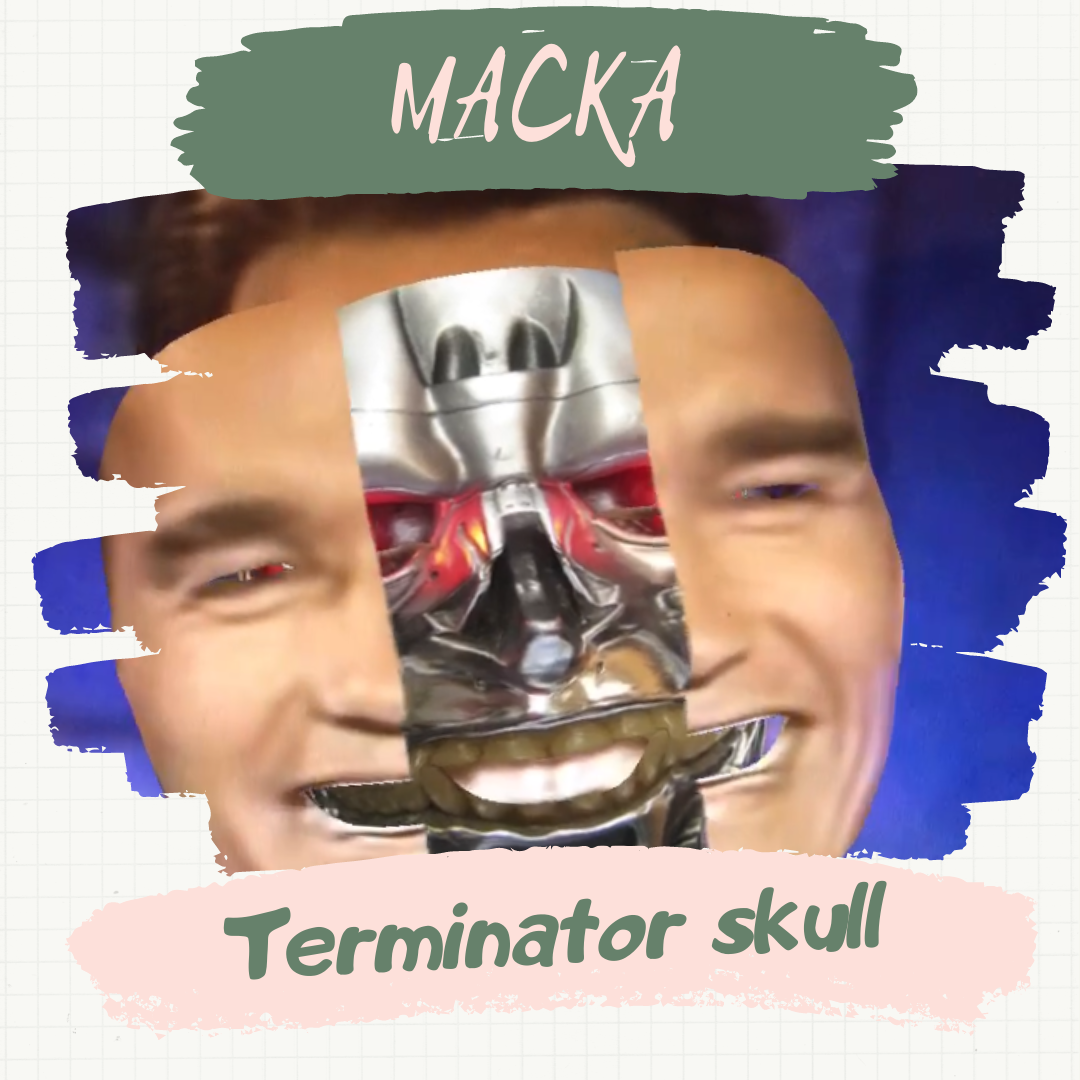 Маска &#171; Terminator Skull&#187;.