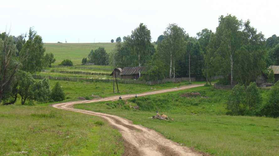 дорога в село