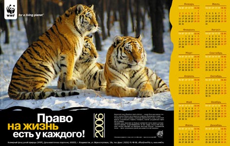 листовой календарь А1 для «WWF»