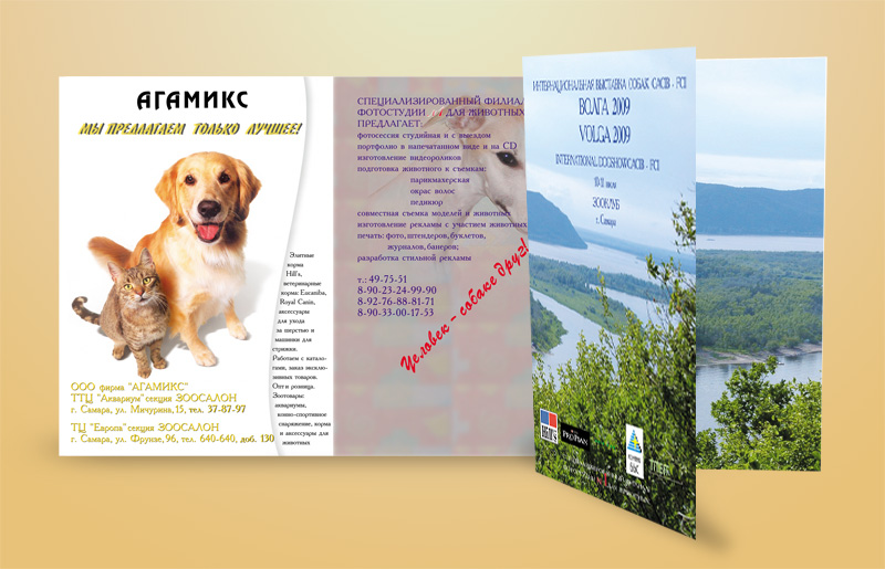 буклет и папка для выставки собак