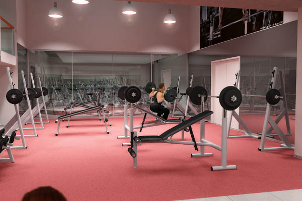 Fitness center in Riga  ( визуализация )