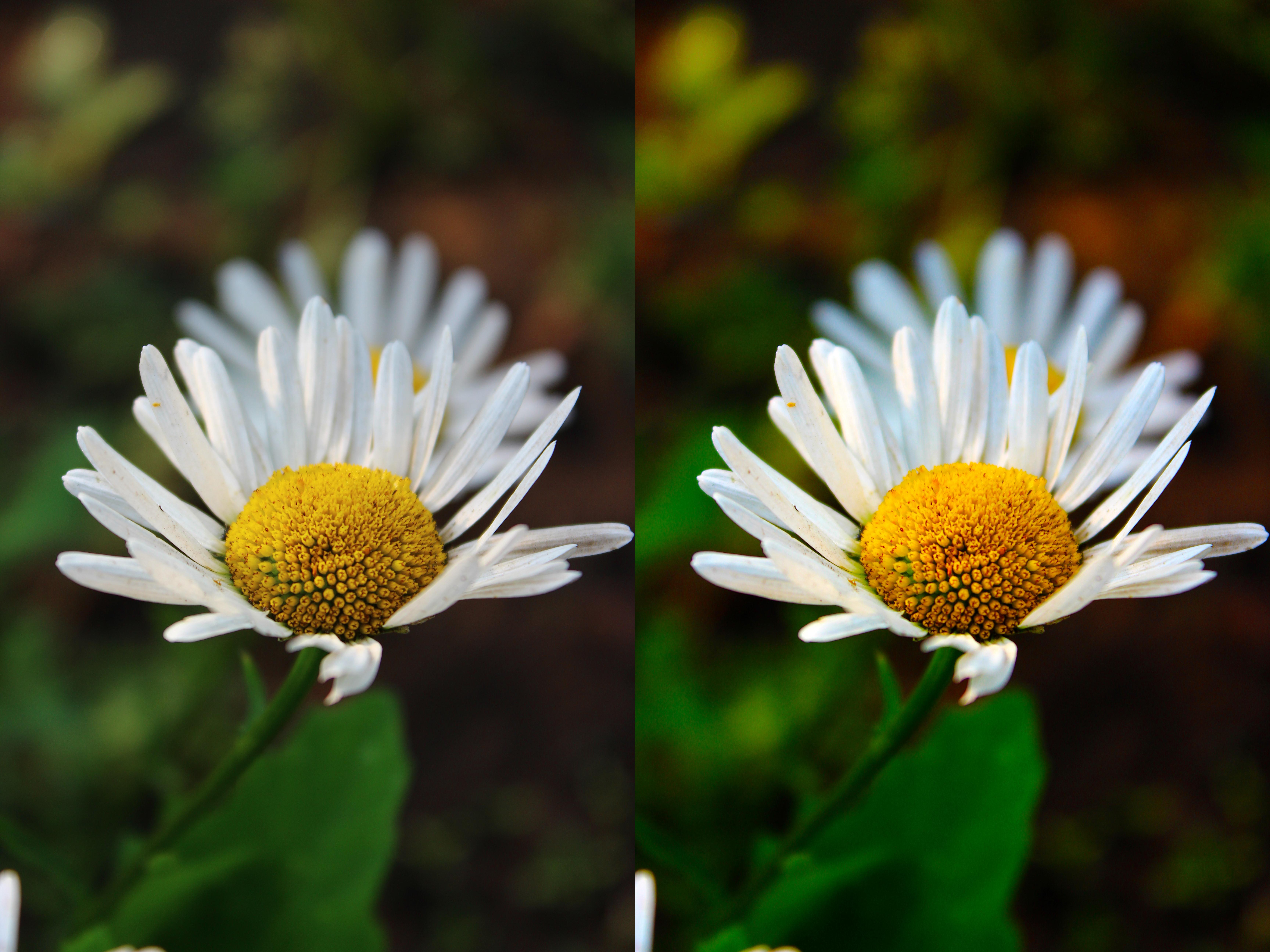 before/after