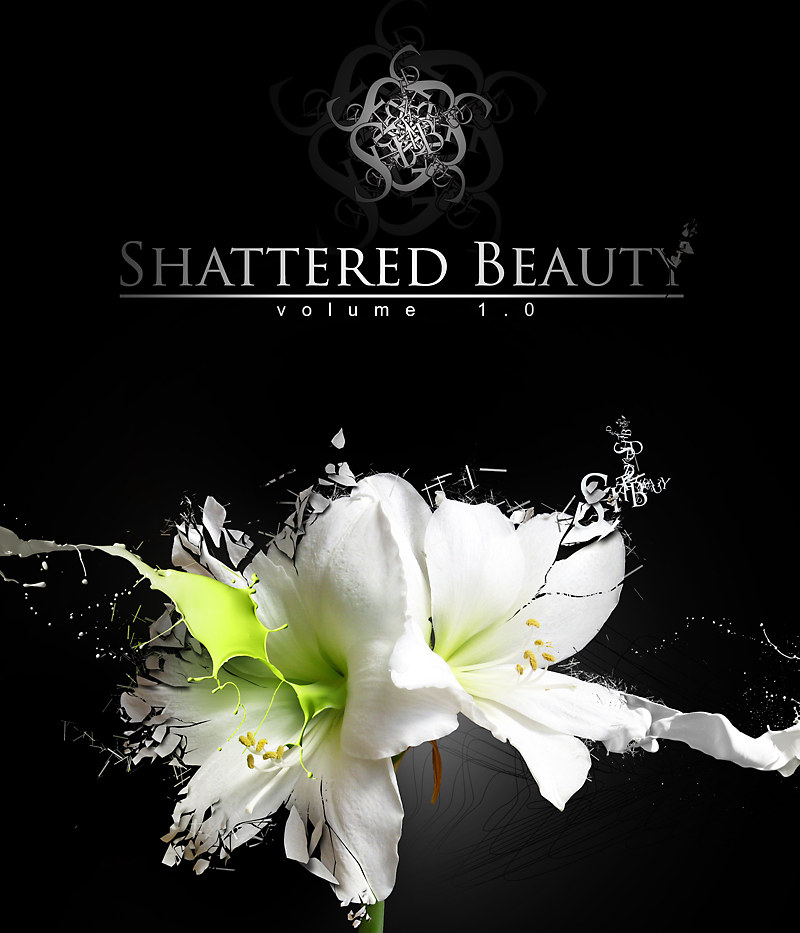 Shattered beauty