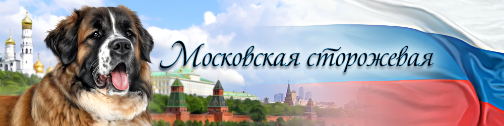 Шапка для сайта, посвященного породе Московская сторожевая