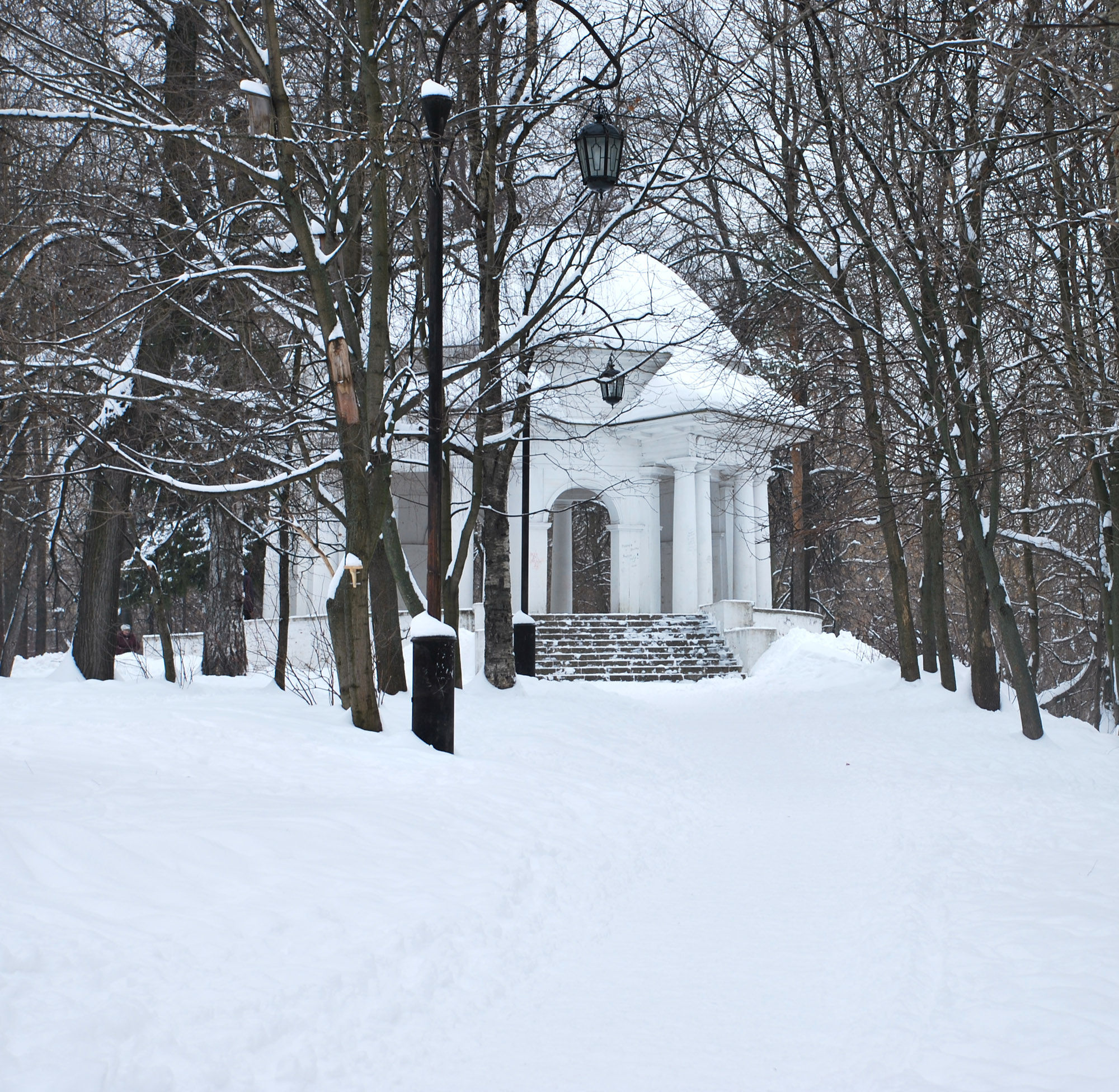 winter