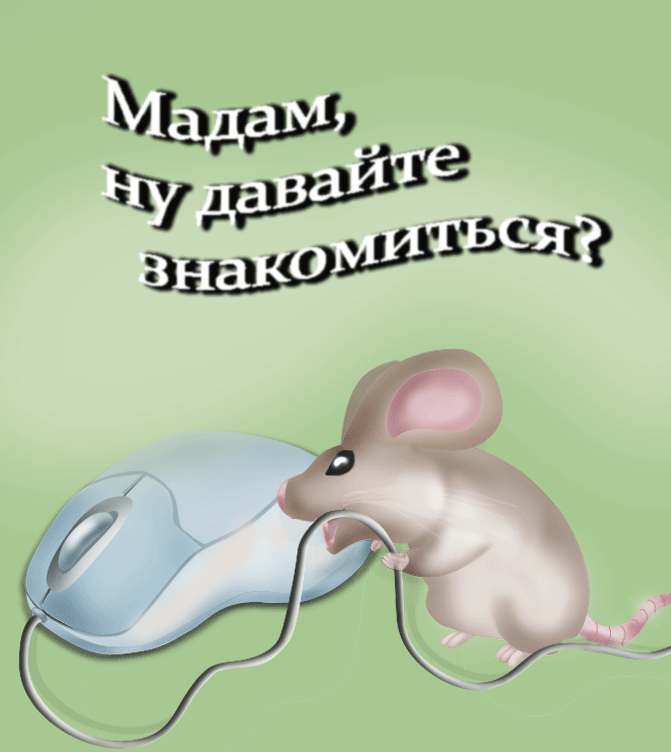 Мышка