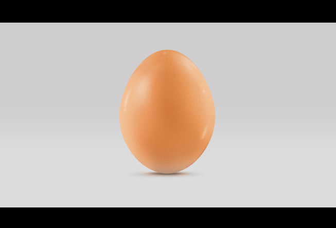 egg