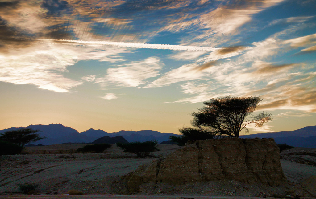 In the desert of Araba