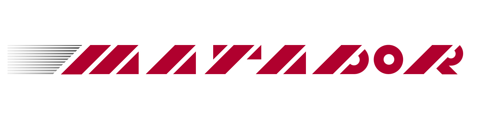 Логотип Матадор  - интернет-магазин продажи шин и дисков