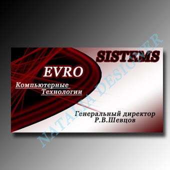 Визитка  EVRO SISTEMS