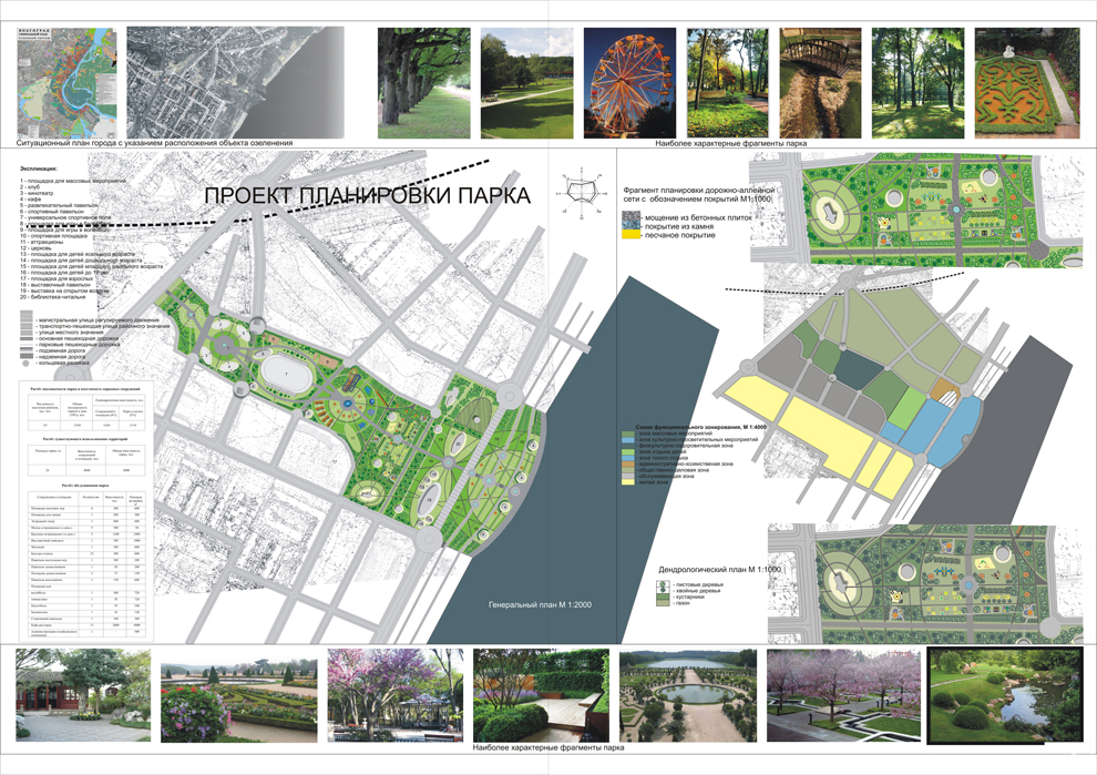 Проект планировки парка