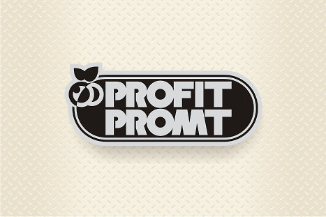 Логотип компании &quot;Profit Promt&quot; (3)