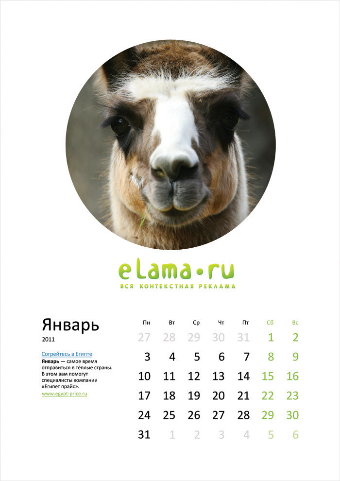 Календарь формата А3. С ламами и контекстной рекламой.