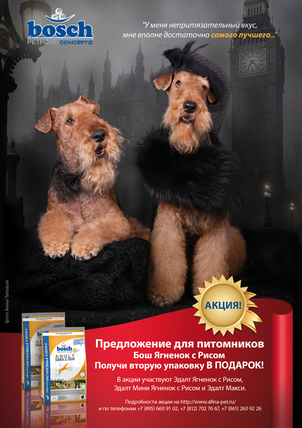 Серия реклам кормов для собак для журналов. Реклама с акцией