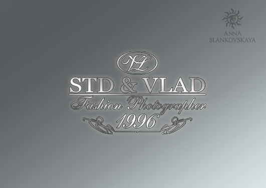 logo STD&amp;VLAD