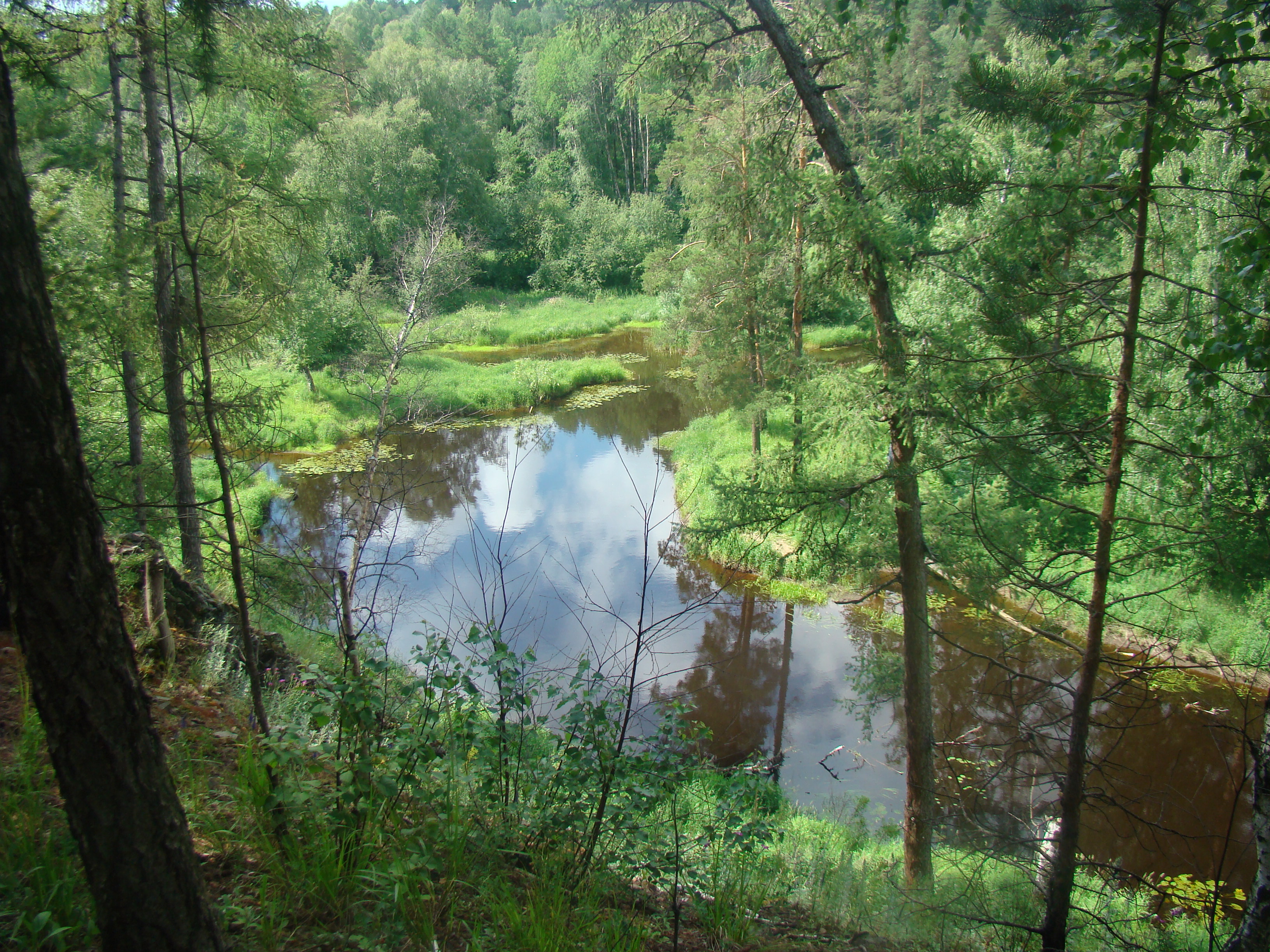 Пейзаж