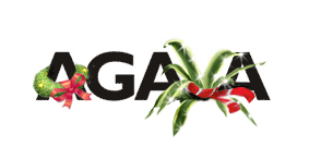 Новогодний логотип Agava