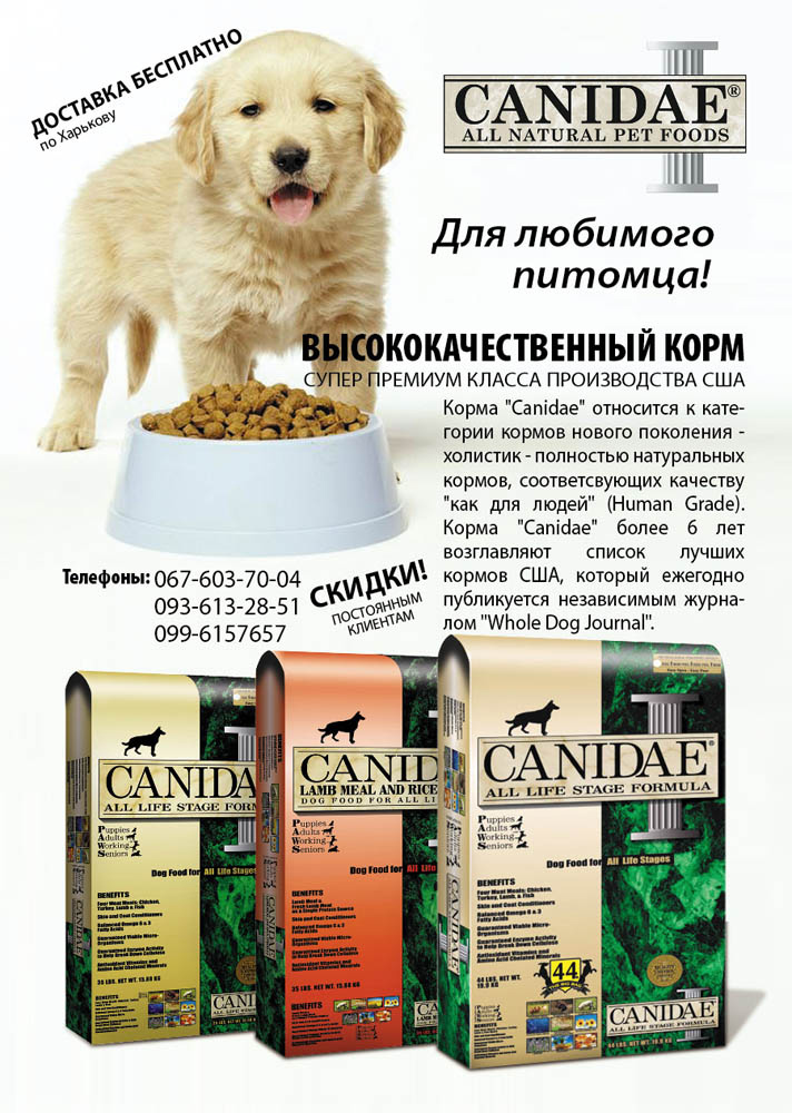 Листовка для выставки собак (Харьков)