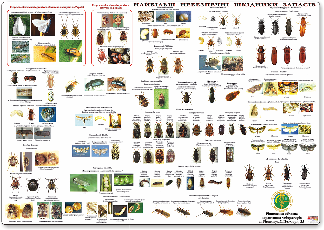 Плакат для Рівненської обласної карантинної лабораторії
