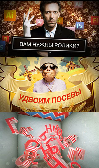 Шоурил 2012