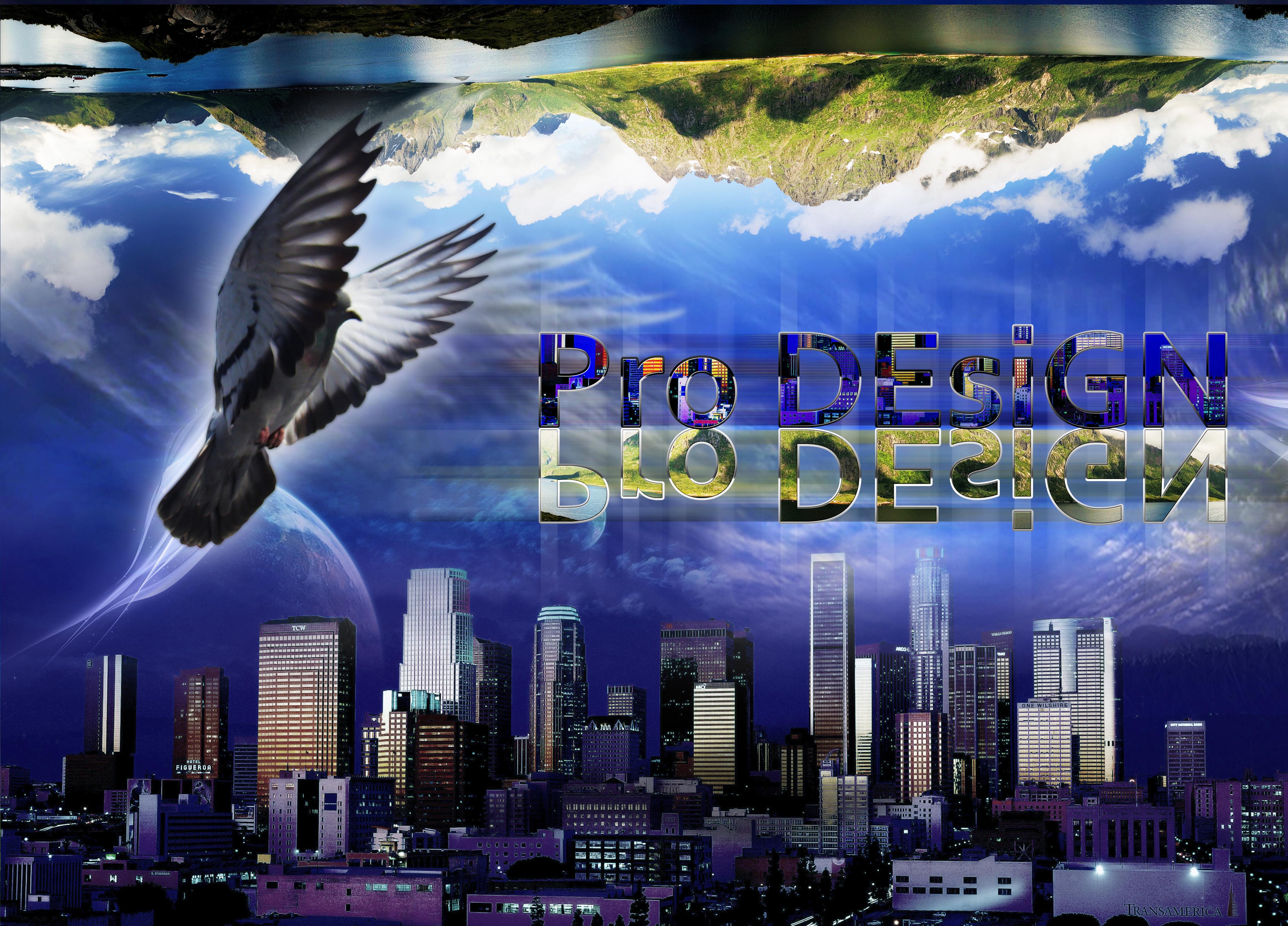 Pro Design