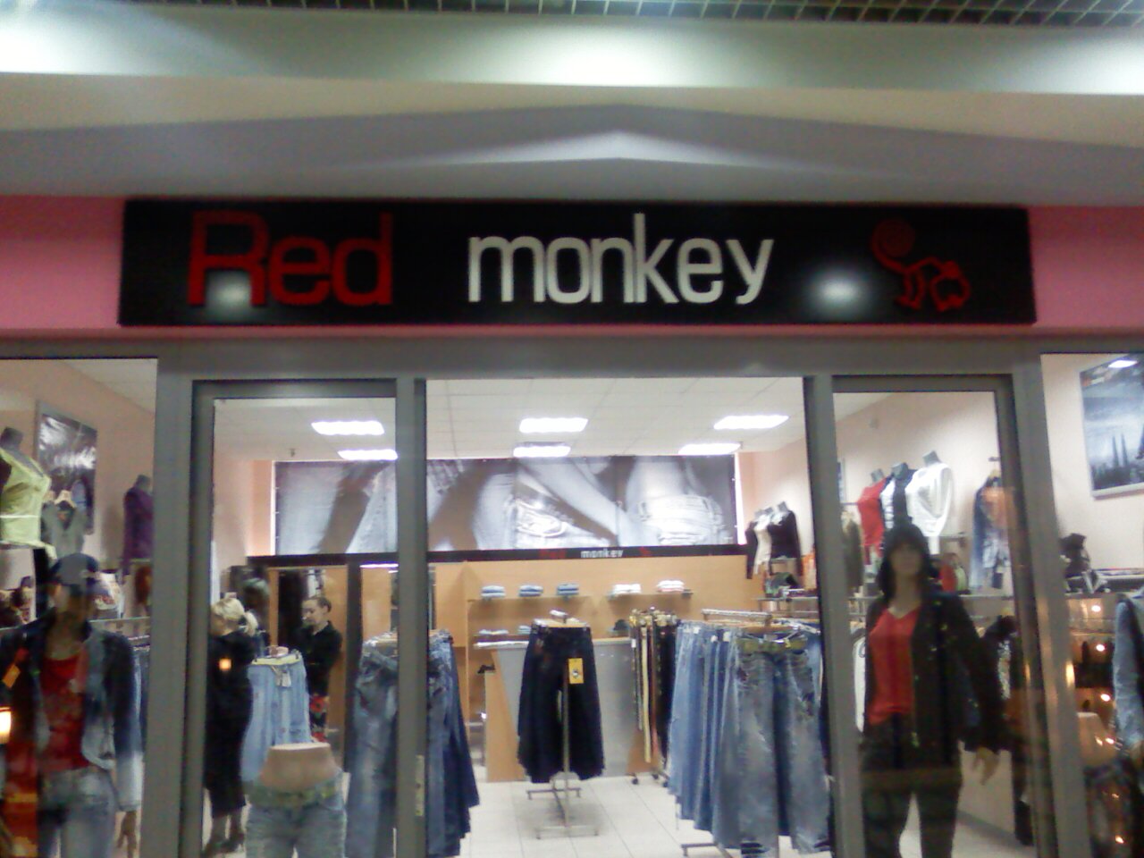 Red monkey