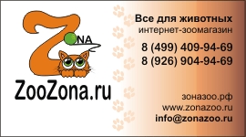 Визитка