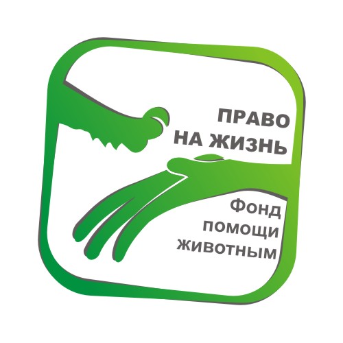 Логотип для Фонда помощи животным (вар)