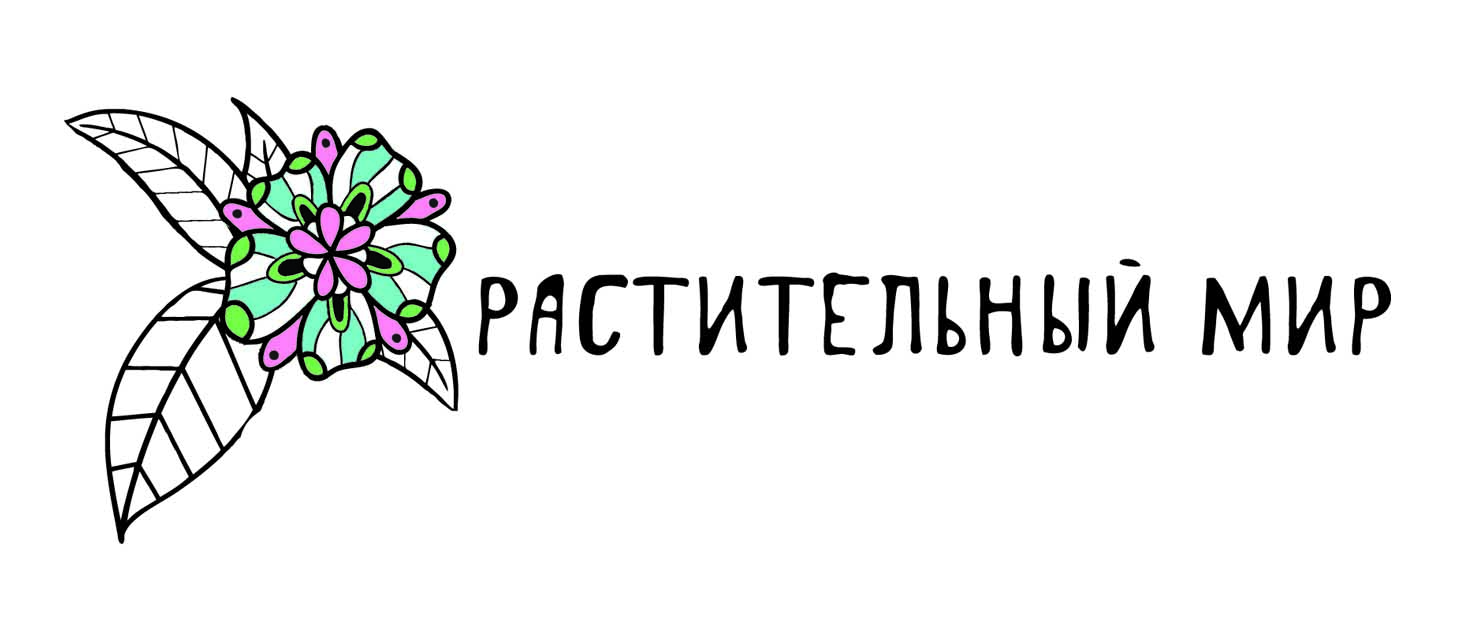 один из вариантов логотипа для компании "Растительный мир"