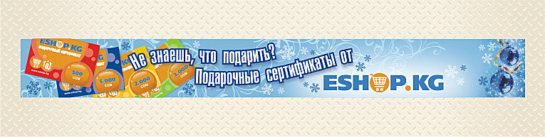 Рекламный баннер интернет-магазина eshop.kg (3)