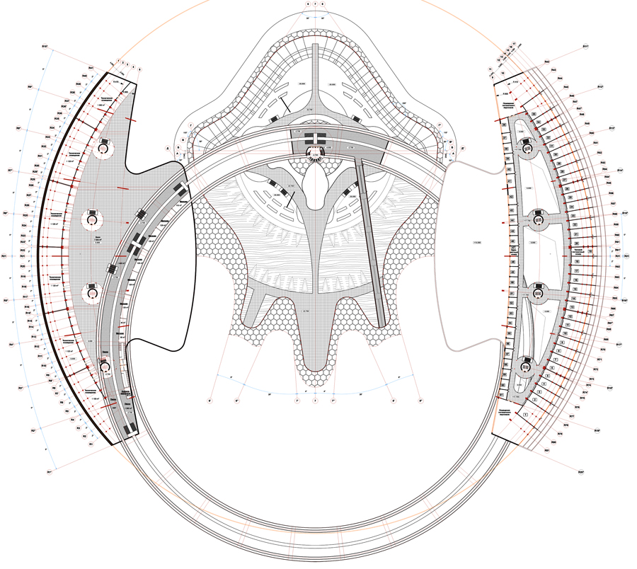 nautiloidea (plan)