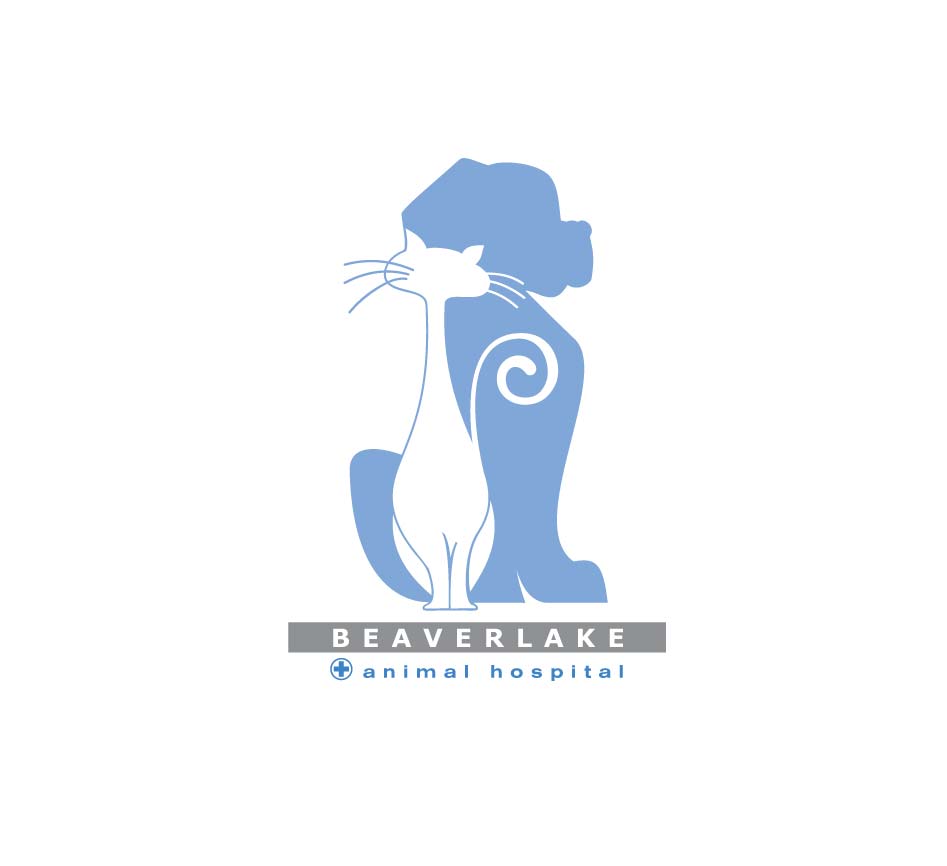 BeaverLake 01