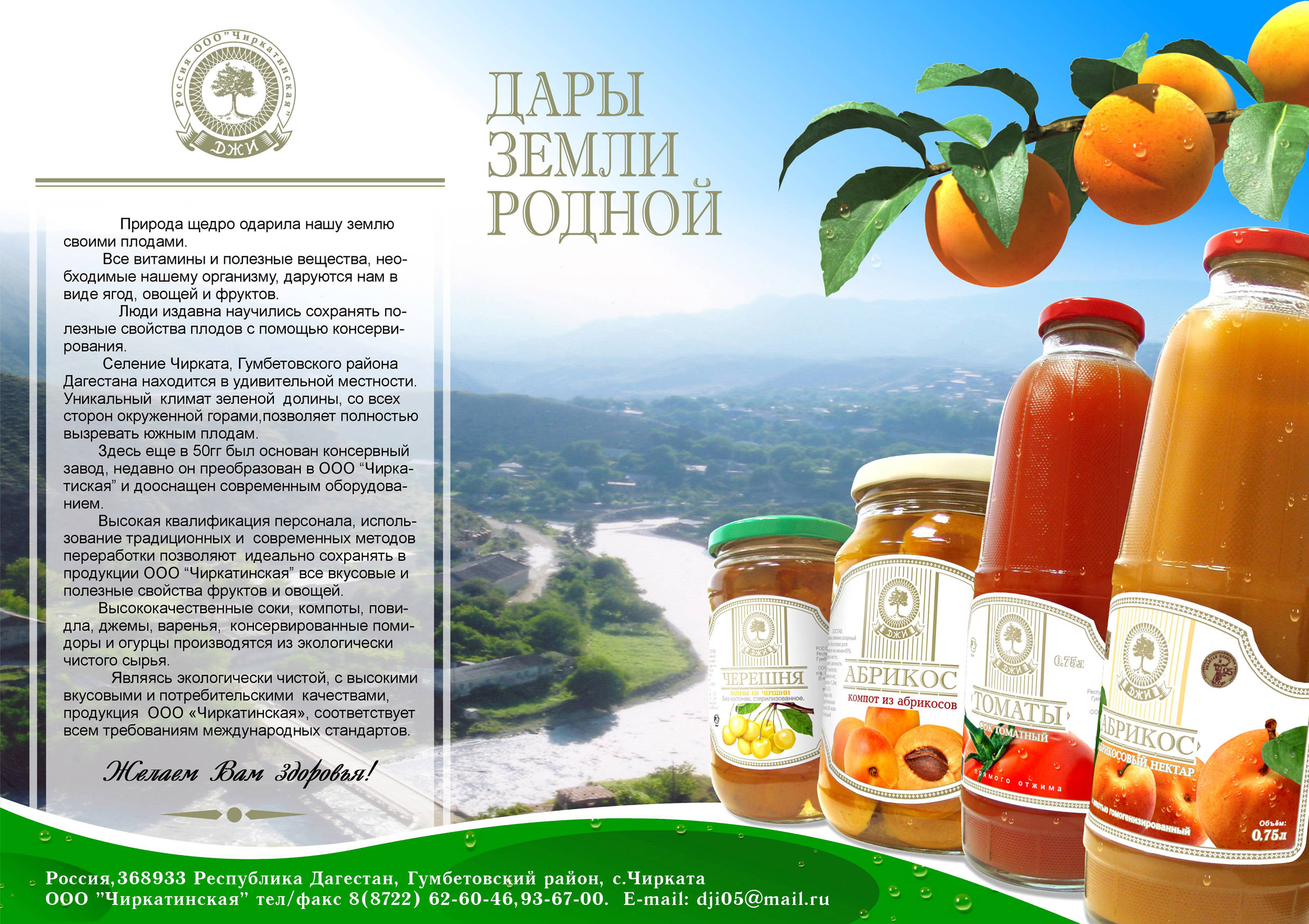 плакат