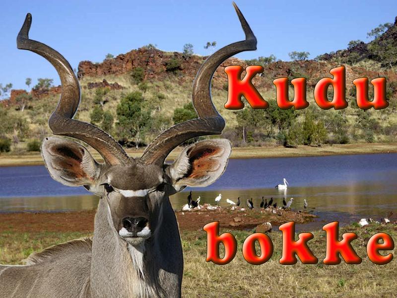 Название для African safari tours