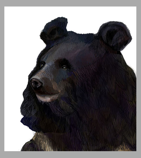 голова медведя