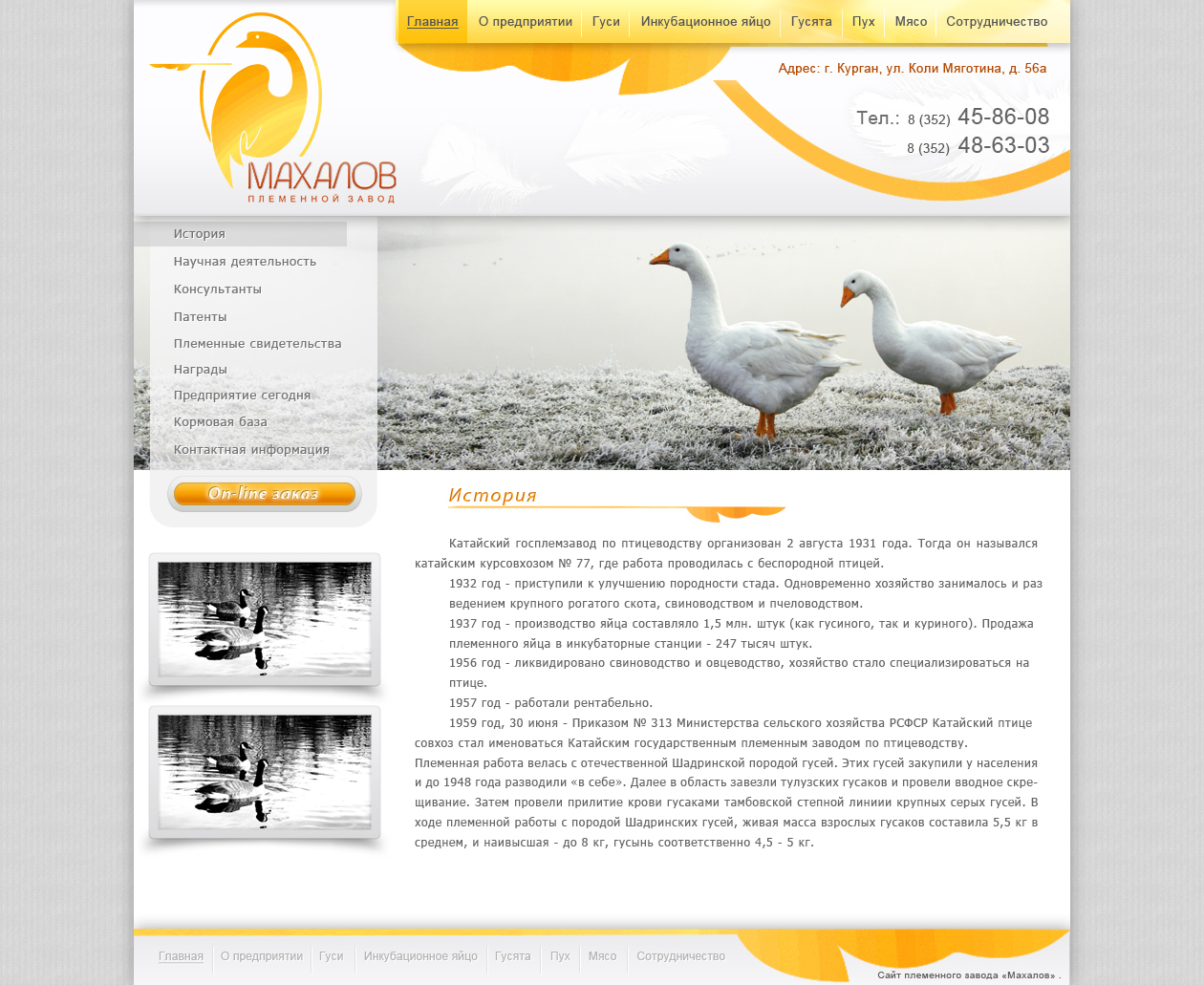 Дизайн сайта для племенного завода (1 вариант)
