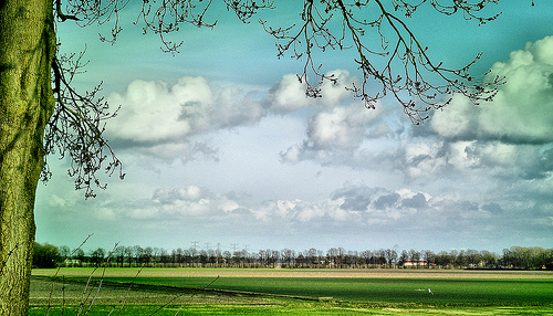 Schokland