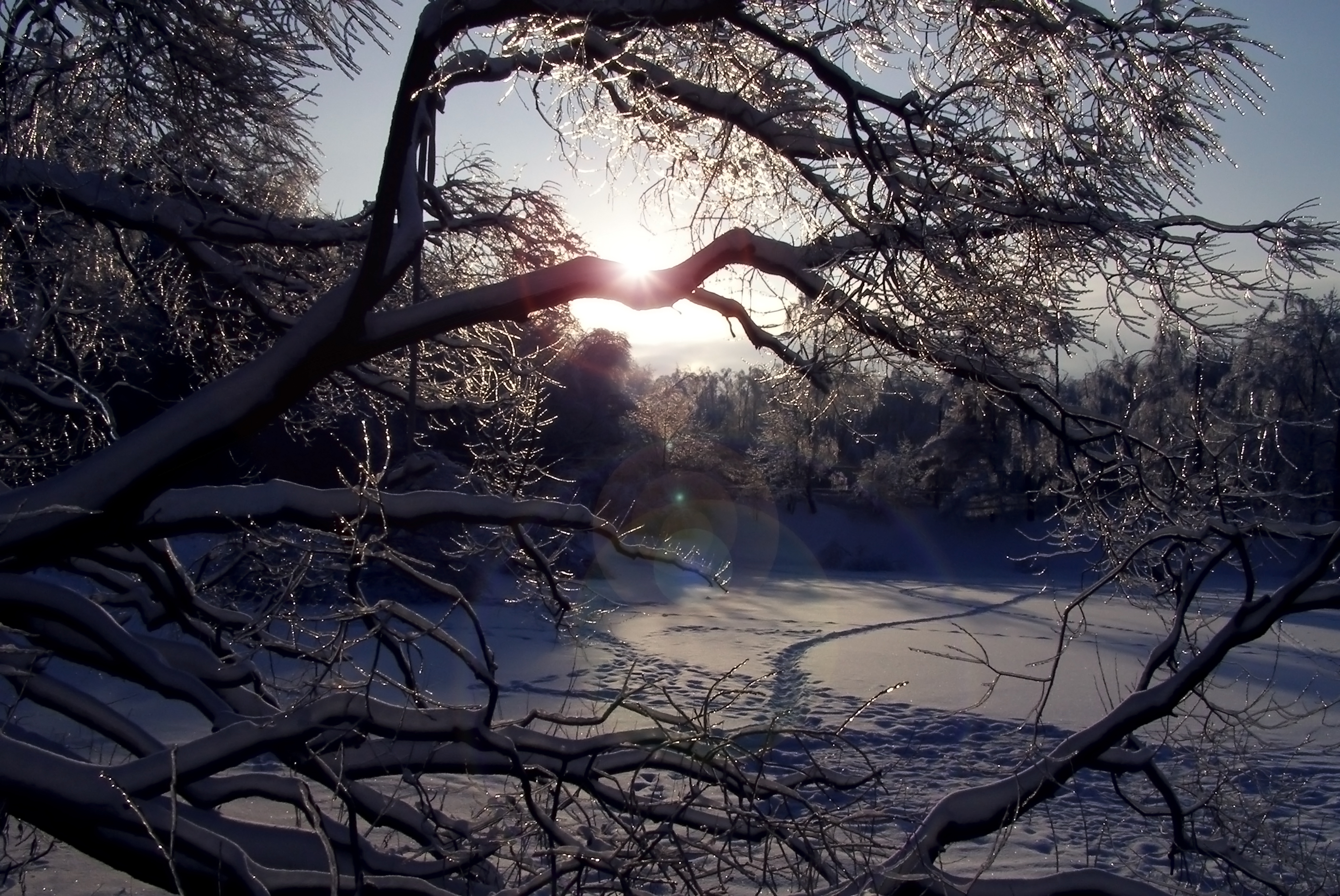 Hiver Neigeux