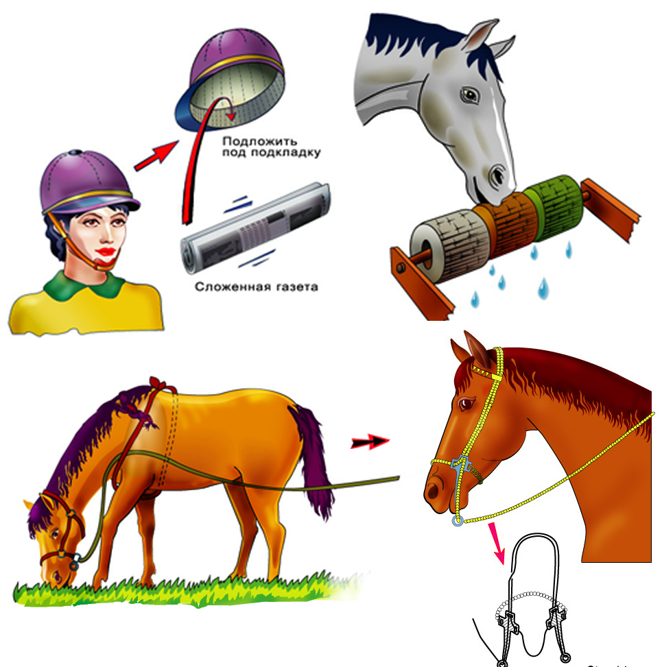 Иллюстрации к журналу &quot; Horses&quot;