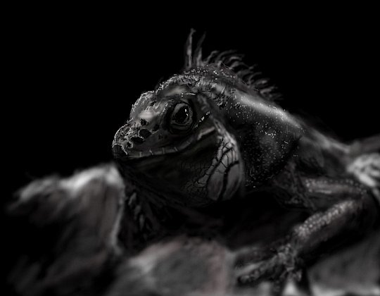 игуанна