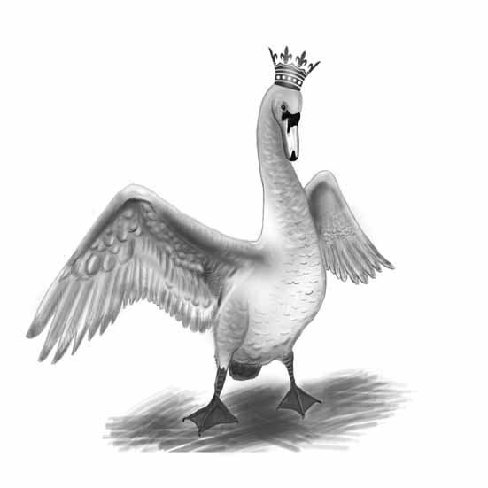 King Swan (illustration)