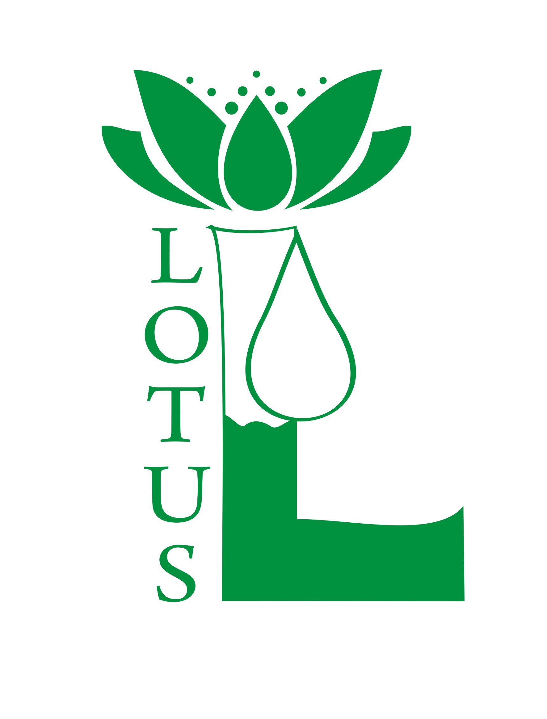 химчистка Lotus
