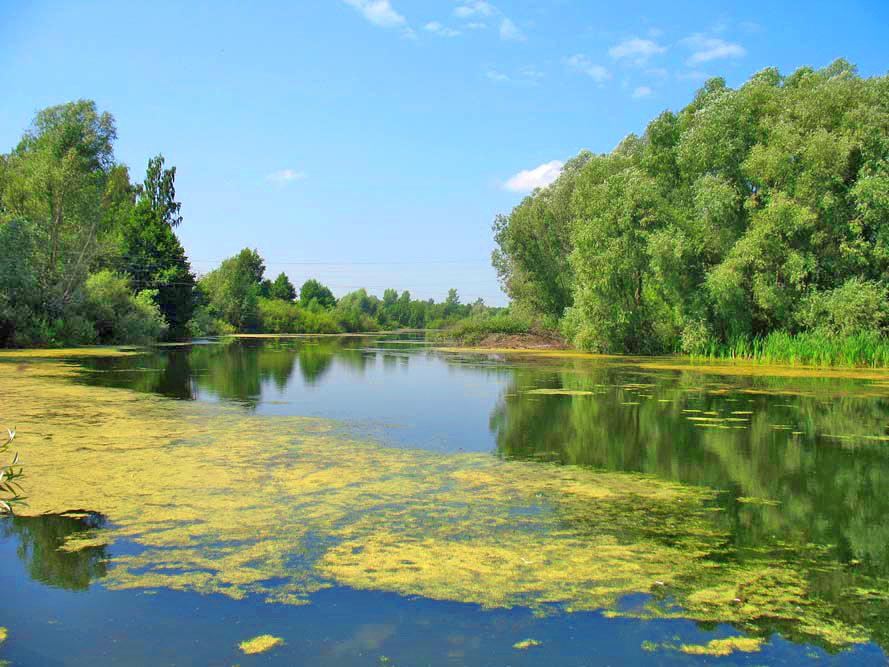 Вид сбоку