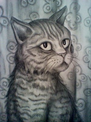 Кот..