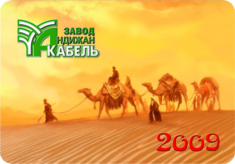 Карманный календарь на 2009 год