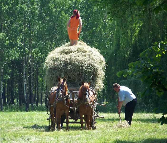 Дендропарк "Олександрія"-Сінокос