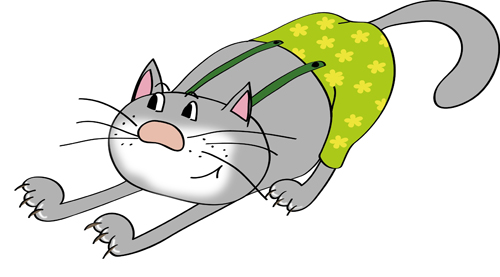 котик