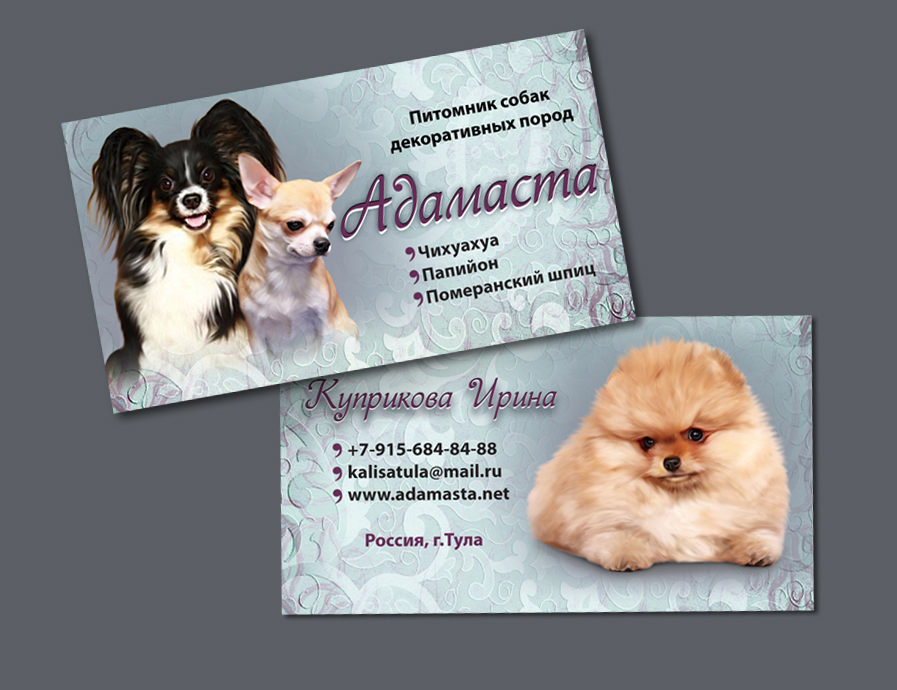 визитка для заводчика декоративных собак, п-к &quot;Адамаста&quot;