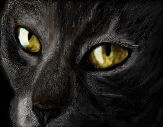 кошка